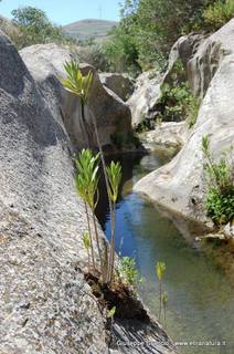 ntana Paradiso-15-05-2014 17-41-42